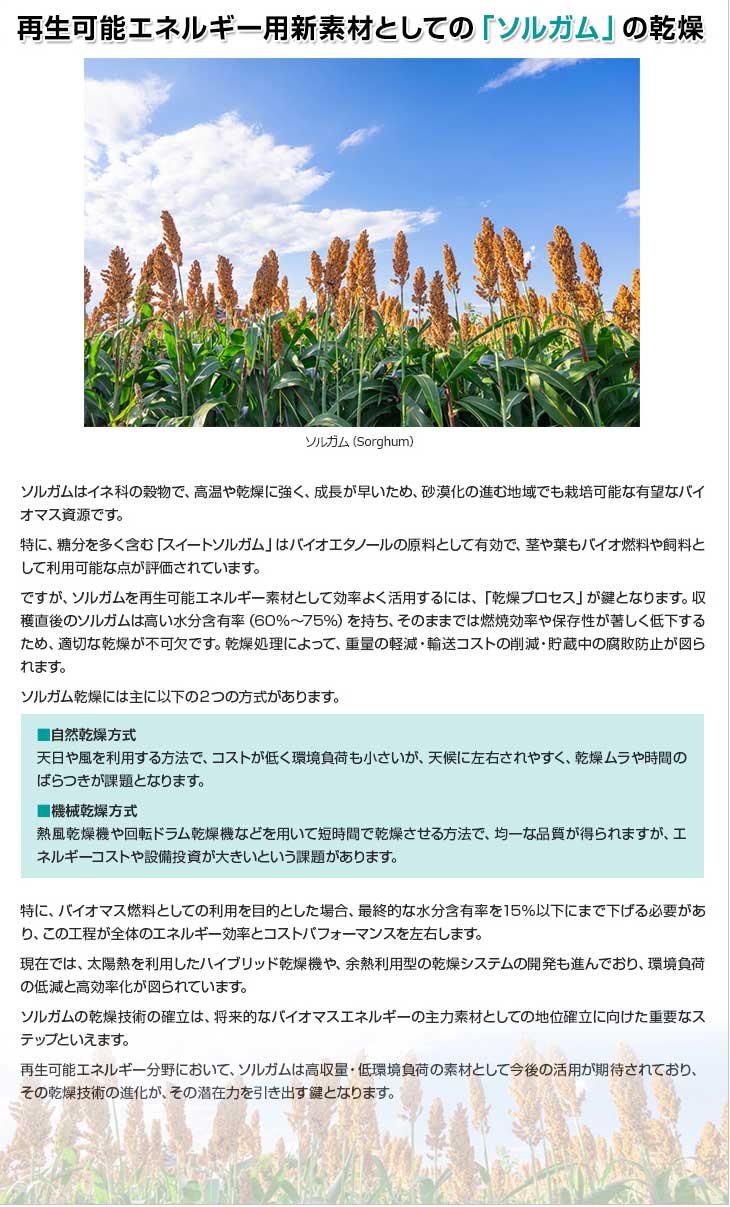 再生可能エネルギー用新素材としての「ソルガム」の乾燥。近年、再生可能エネルギーの需要拡大とともに、バイオマス資源の多様化が求められています。その中で注目されているのが「ソルガム（Sorghum）」です。ソルガムはイネ科の穀物で、高温や乾燥に強く、成長が早いため、砂漠化の進む地域でも栽培可能な有望なバイオマス資源です。特に、糖分を多く含む「スイートソルガム」はバイオエタノールの原料として有効で、茎や葉もバイオ燃料や飼料として利用可能な点が評価されています。ですが、ソルガムを再生可能エネルギー素材として効率よく活用するには、「乾燥プロセス」が鍵となります。収穫直後のソルガムは高い水分含有率（60%～75%）を持ち、そのままでは燃焼効率や保存性が著しく低下するため、適切な乾燥が不可欠です。乾燥処理によって、重量の軽減・輸送コストの削減・貯蔵中の腐敗防止が図られます。ソルガム乾燥には主に以下の２つの方式があります。■自然乾燥方式。天日や風を利用する方法で、コストが低く環境負荷も小さいが、天候に左右されやすく、乾燥ムラや時間のばらつきが課題となります。■機械乾燥方式。熱風乾燥機や回転ドラム乾燥機などを用いて短時間で乾燥させる方法で、均一な品質が得られますが、エネルギーコストや設備投資が大きいという課題があります。特に、バイオマス燃料としての利用を目的とした場合、最終的な水分含有率を15%以下にまで下げる必要があり、この工程が全体のエネルギー効率とコストパフォーマンスを左右します。現在では、太陽熱を利用したハイブリッド乾燥機や、余熱利用型の乾燥システムの開発も進んでおり、環境負荷の低減と高効率化が図られています。ソルガムの乾燥技術の確立は、将来的なバイオマスエネルギーの主力素材としての地位確立に向けた重要なステップといえます。再生可能エネルギー分野において、ソルガムは高収量・低環境負荷の素材として今後の活用が期待されており、その乾燥技術の進化が、その潜在力を引き出す鍵となります。