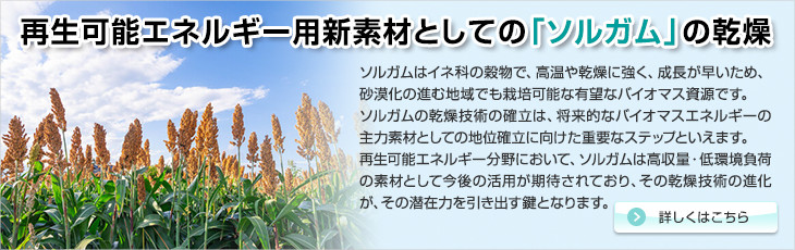 再生可能エネルギー用新素材としての「ソルガム」の乾燥。ソルガムはイネ科の穀物で、高温や乾燥に強く、成長が早いため、砂漠化の進む地域でも栽培可能な有望なバイオマス資源です。ソルガムの乾燥技術の確立は、将来的なバイオマスエネルギーの主力素材としての地位確立に向けた重要なステップといえます。再生可能エネルギー分野において、ソルガムは高収量・低環境負荷の素材として今後の活用が期待されており、その乾燥技術の進化が、その潜在力を引き出す鍵となります。